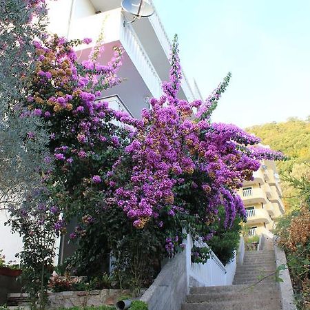 4M Apartments Petrovac Eksteriør bilde