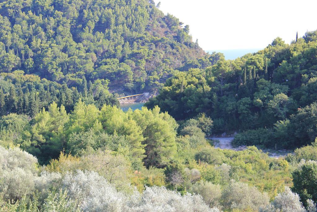 4M Apartments Petrovac Rom bilde